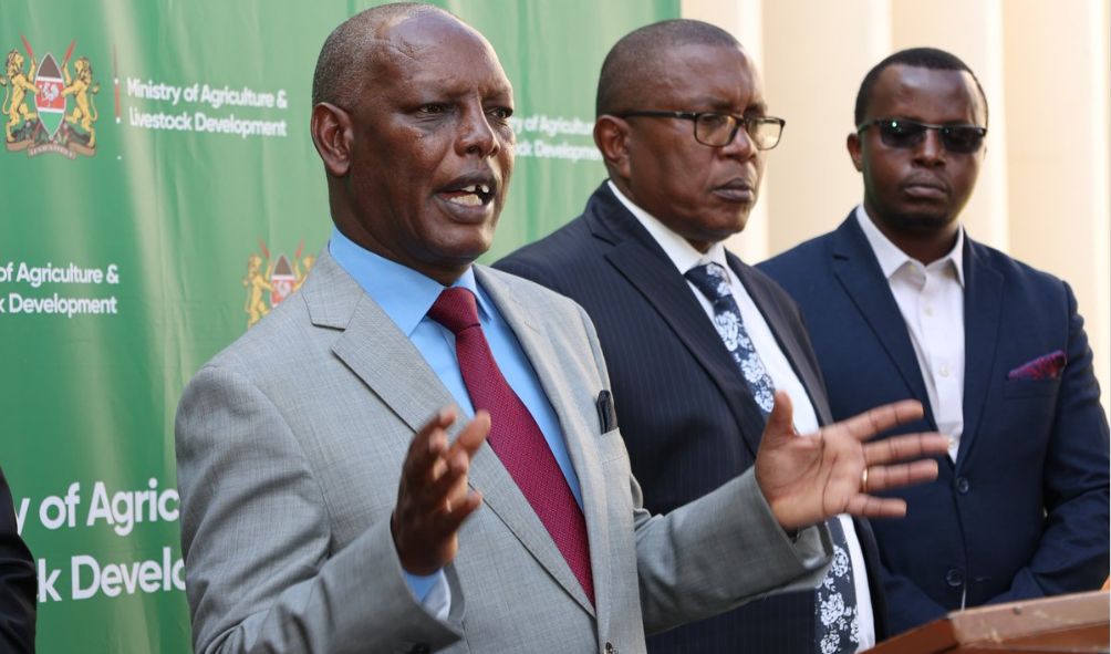 'Your Livestock Will Die!' - Gov't Warns Farmers Refusing Cow Vaccination