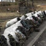 Police Officer Charged For Transporting Charcoal In Nakuru