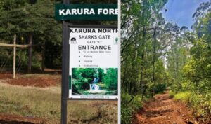 Kenya's High Court Rules On Karura Forest Road Construction
