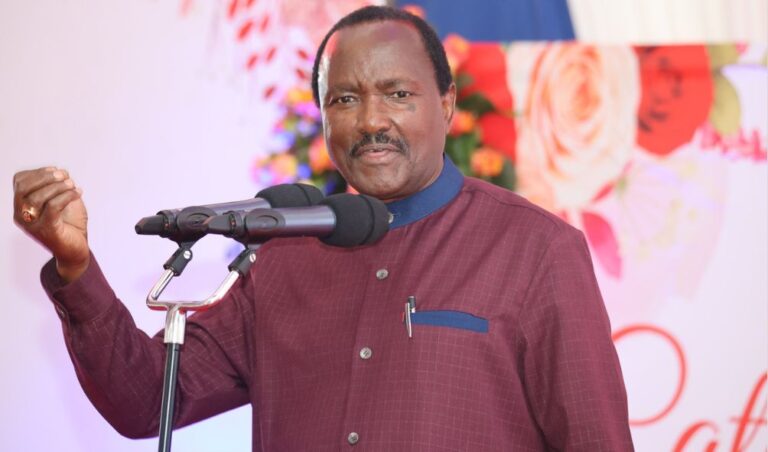 'Ruto Smells Of The Skunk!' - Kalonzo Goes Bare Knuckle Against Gov't