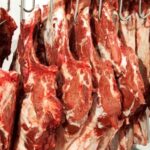 'Don't Eat Game Or Questionable Meat!' - Veterinary Doctors Warn Kenyans