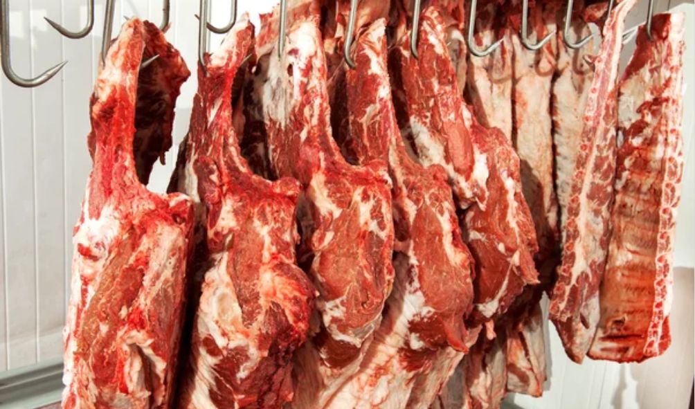 'Don't Eat Game Or Questionable Meat!' - Veterinary Doctors Warn Kenyans