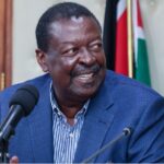 'You Are Delaying IEBC Re-Constitution!' - Mudavadi Tells Petitioners
