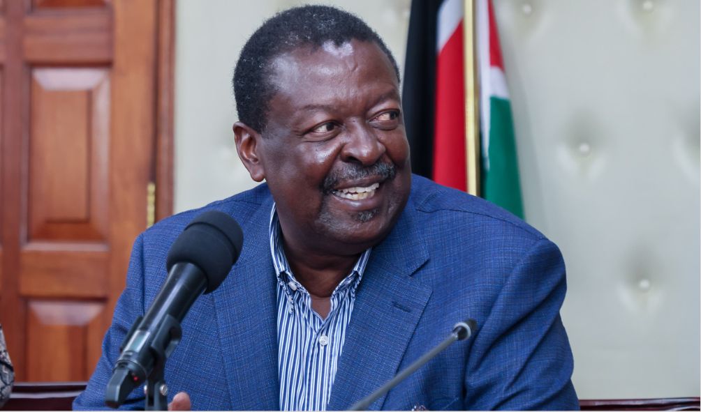 'You Are Delaying IEBC Re-Constitution!' - Mudavadi Tells Petitioners