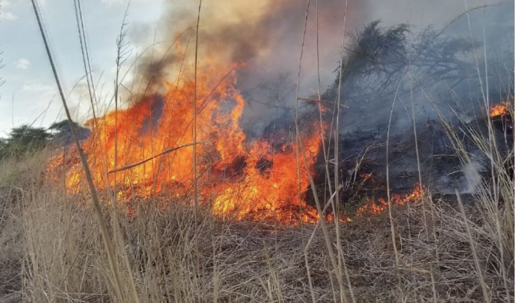 CS Murkomen Issues An Update On Wildfire Ravaging Through Isiolo County