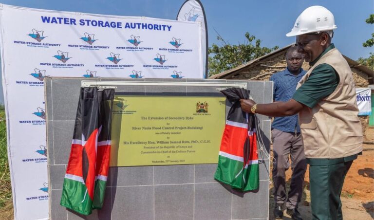 'It is not in our scope of work!' - Chinese Contractor Tells Off Ruto On Busia Irrigation Project