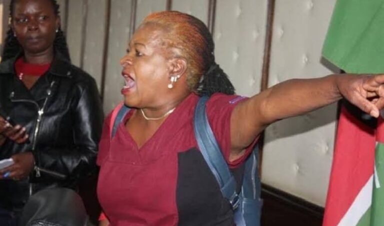 A Dozen Police Officers Sent To Arrest Woman Who Disrupted CS Mulongo's Meeting