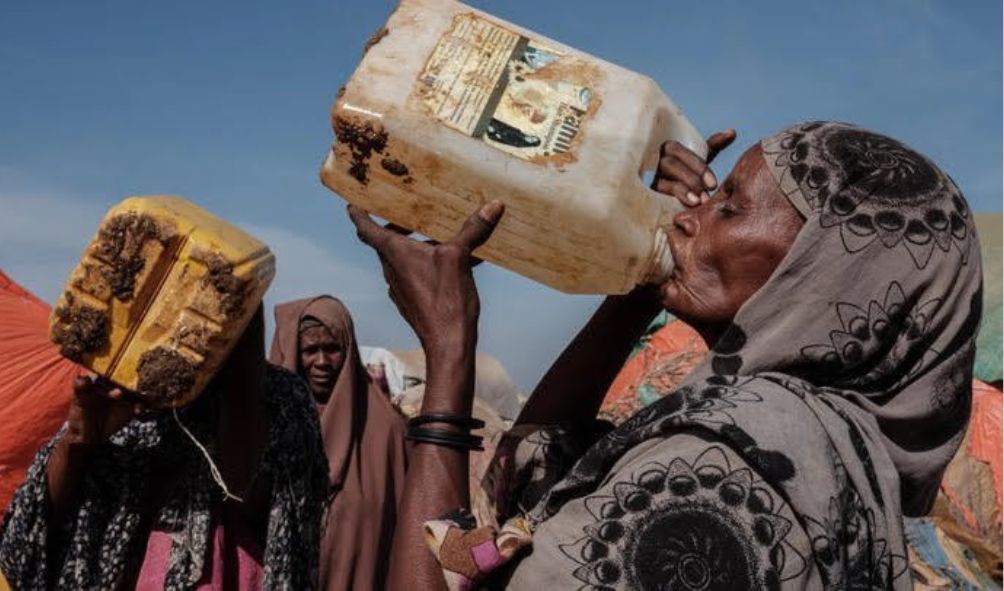 REPORT: How Drought Killed 71,000 People in Somalia Since 2022