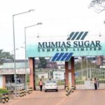 Mumias Sugar Involved In Another Major Brawl Weeks After Ruto's Visit