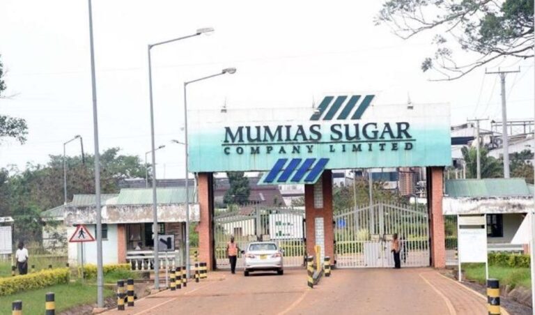 Mumias Sugar Involved In Another Major Brawl Weeks After Ruto's Visit