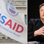 Elon Musk Brands USAID a 'Criminal Organization', Its Officials 'Extreme Lunatics'