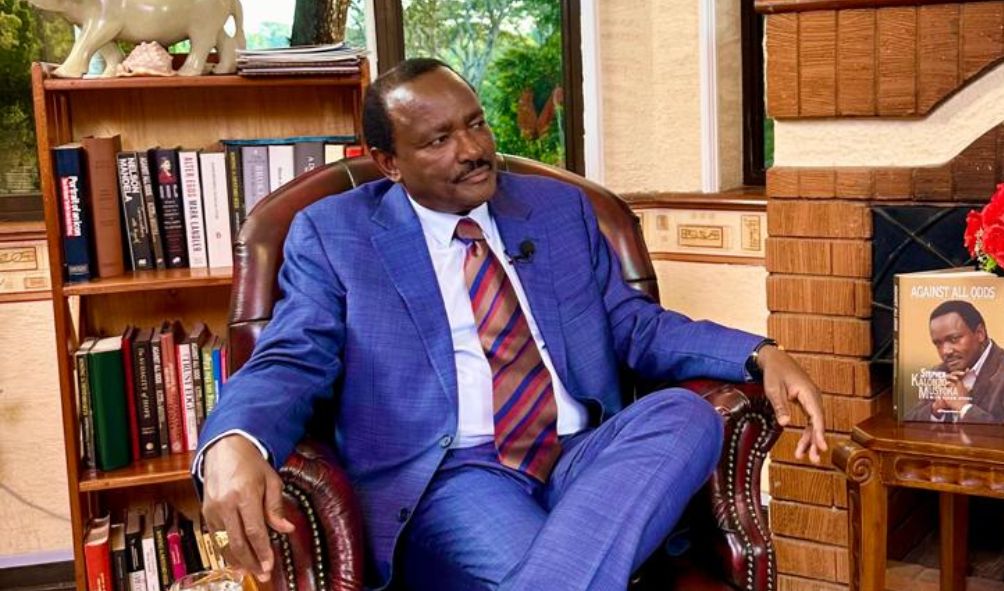 'Azimio Is Dysfunctional!' - Kalonzo Announces Hinting At New Alliance For 2027