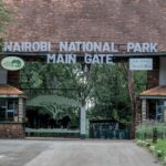 NEW LOOK: KWS Effects Changes For eCitizen Payment Systems For Parks