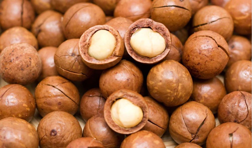 Gov't Issues New Directives To Macadamia Nut Farmers