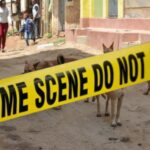 HEARTBREAKING: Dogs Maul Missing Cancer Patient A Kilometre From Hospital