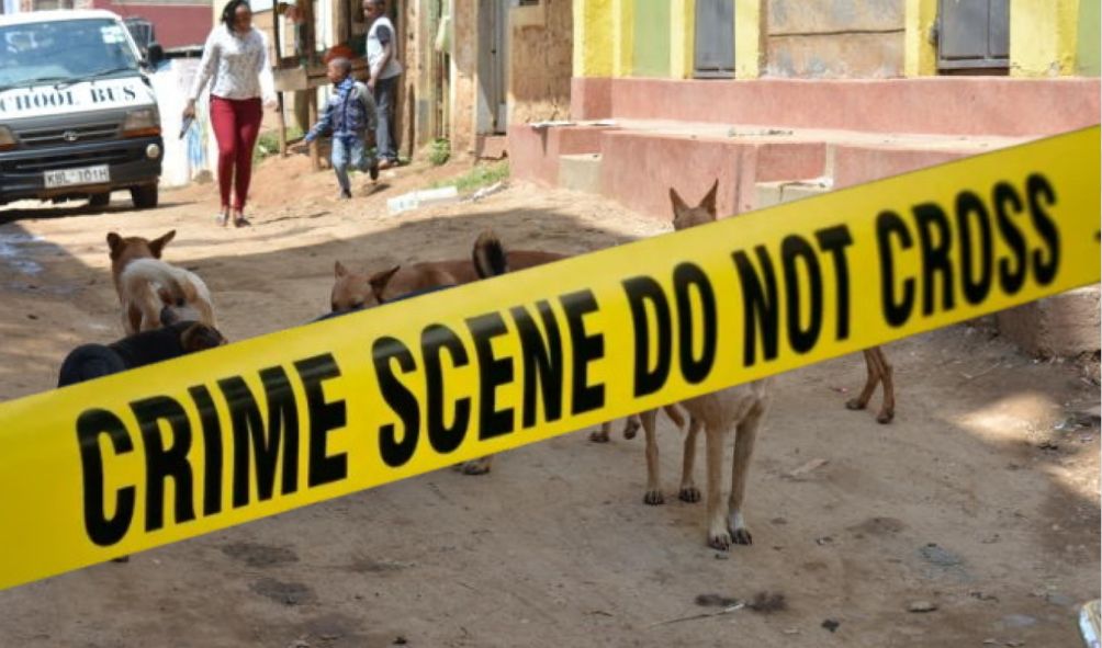 HEARTBREAKING: Dogs Maul Missing Cancer Patient A Kilometre From Hospital