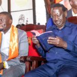 'We cannot afford to be wasteful!' - UDA Senator Slams Plan To Fly 100 MPs To Addis Ababa