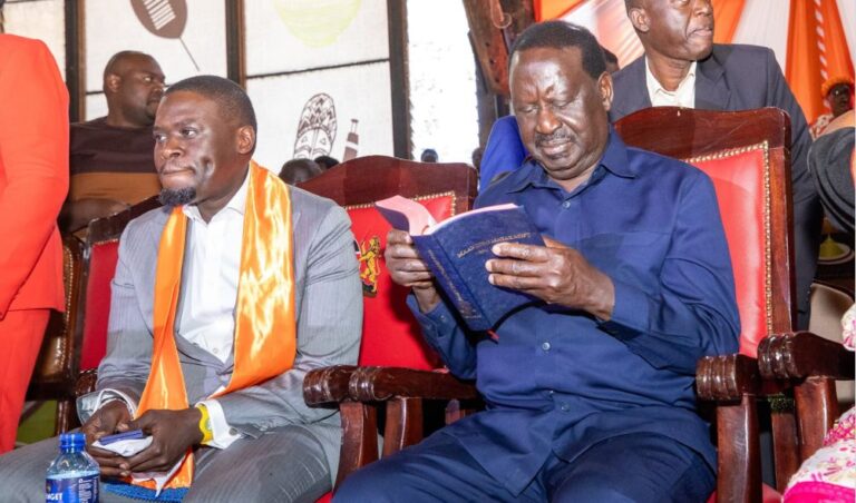 'We cannot afford to be wasteful!' - UDA Senator Slams Plan To Fly 100 MPs To Addis Ababa