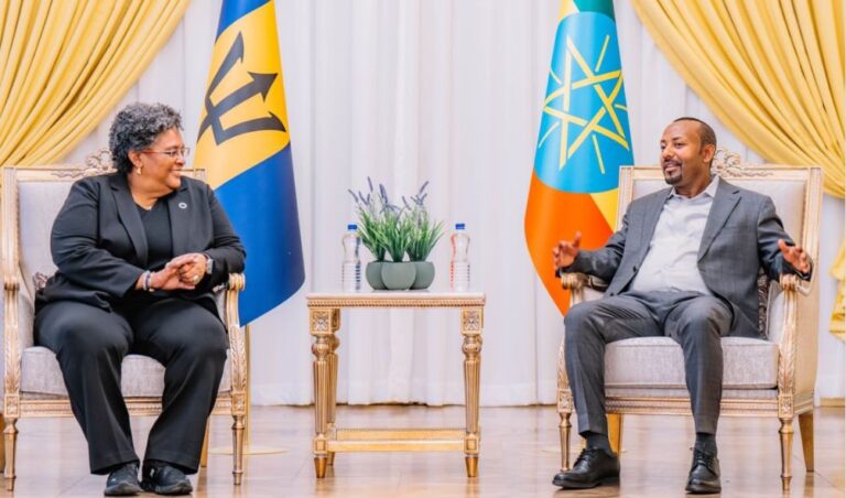 Barbados' Prime Minister Lectures African Heads of States On Unity, Purpose