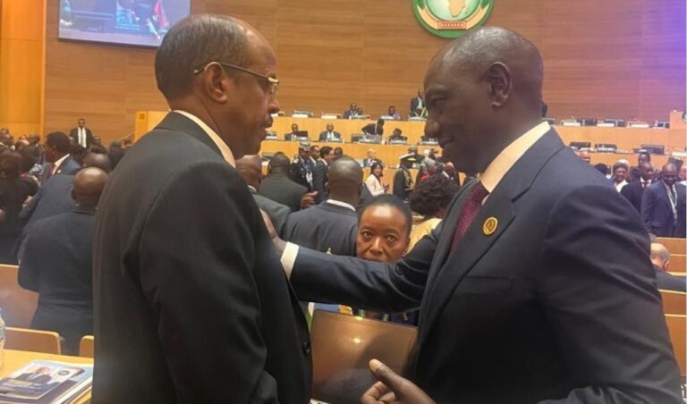 Mahmoud Ali Youssouf Sends Message To Ruto After AUC Chairperson Victory