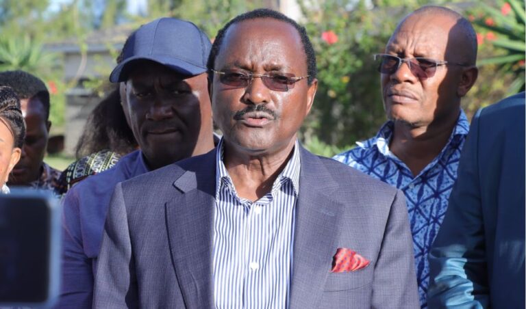 'Protect Local Rice Farmers!' - Kalonzo Tells Ruto To Restrict Rice Importation