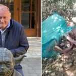 Missing British Businessman Found Dead In Makueni After Interpol Intervention