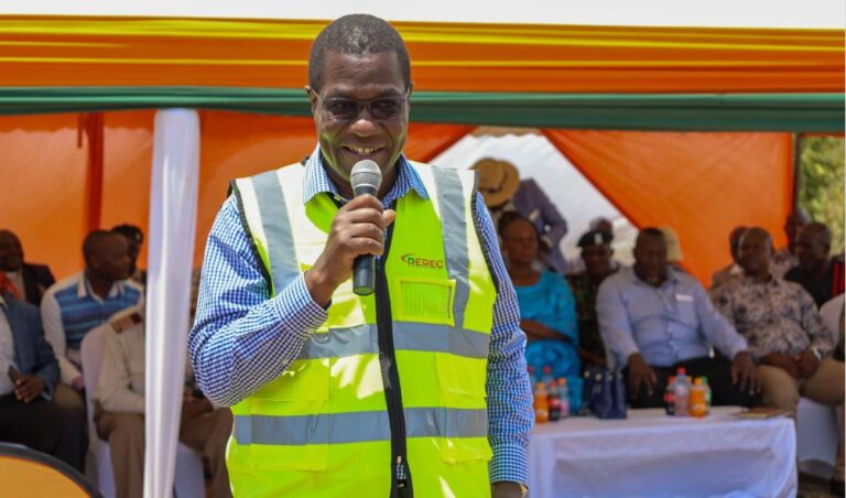 'We Will Involve Kenyans At Every Stage!' - CS Wandayi Promises After New Power Deal