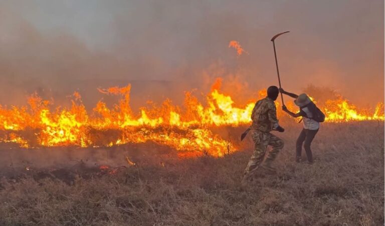 Fire Breaks Out At Nairobi National Park Days After JKIA Incident