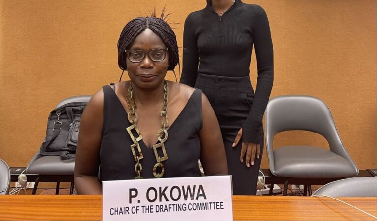 PROF. PHOEBE OKOWA: Kenya's Nominee To The International Court of Justice