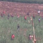 Cattle Rustling Leaves 8 People Injured In The Kisii-Transmara Border