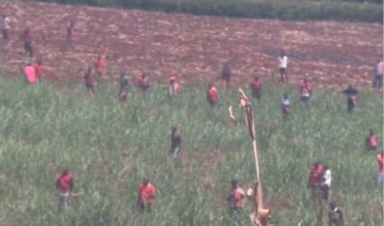 Cattle Rustling Leaves 8 People Injured In The Kisii-Transmara Border