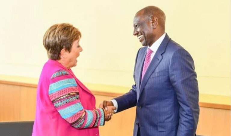 Kenya Turns To IMF For New Bailout As Ksh103.4 Billion Loan Abandoned