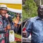 DETAILS: Kalonzo's Letter To Raila Over NADCO Report