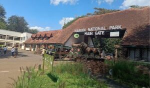 KWS Responds To Viral Criticism From Foreign Journalist Over Nairobi National Park