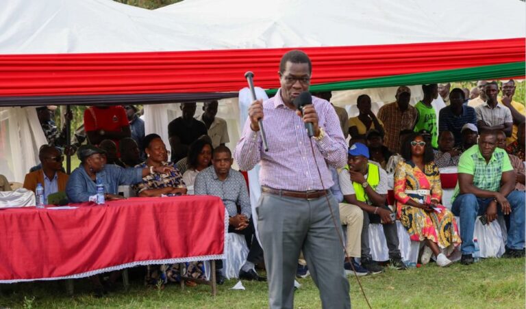 'The Gov't Is Extremely Stable!' - Wandayi Plays Down Protests Effect