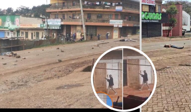 KNCHR: Saba Saba Protests' Death Toll At 31