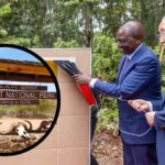 REVEALED: Kenya Launches Ksh8.3B Project In Tsavo, Meru National Parks