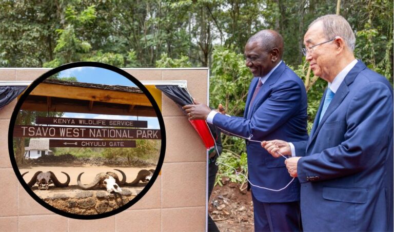 REVEALED: Kenya Launches Ksh8.3B Project In Tsavo, Meru National Parks