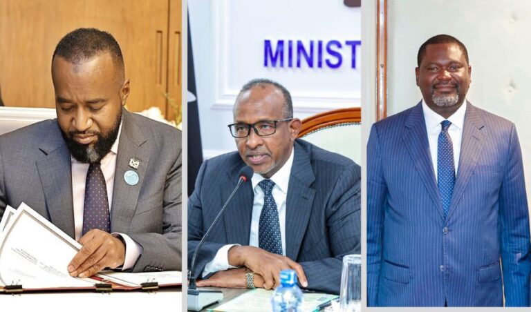 THREE Ruto CSs Make New Ministerial Appointments