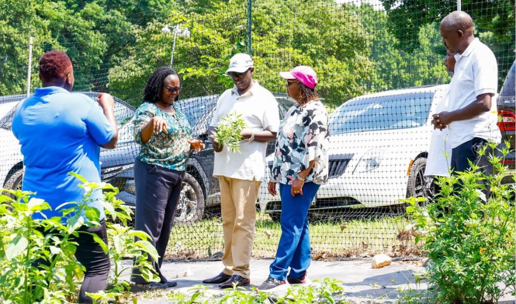 Homegrown: Gachagua Meets Kenyans Producing African Traditional Vegies In The US