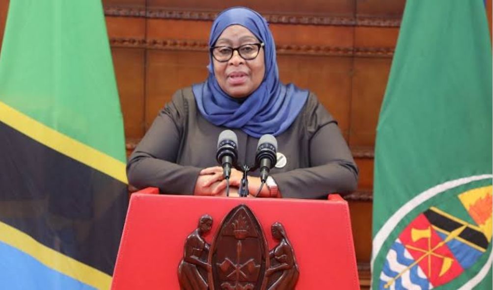 Tanzania Bans Foreigners From 15 Business Activities