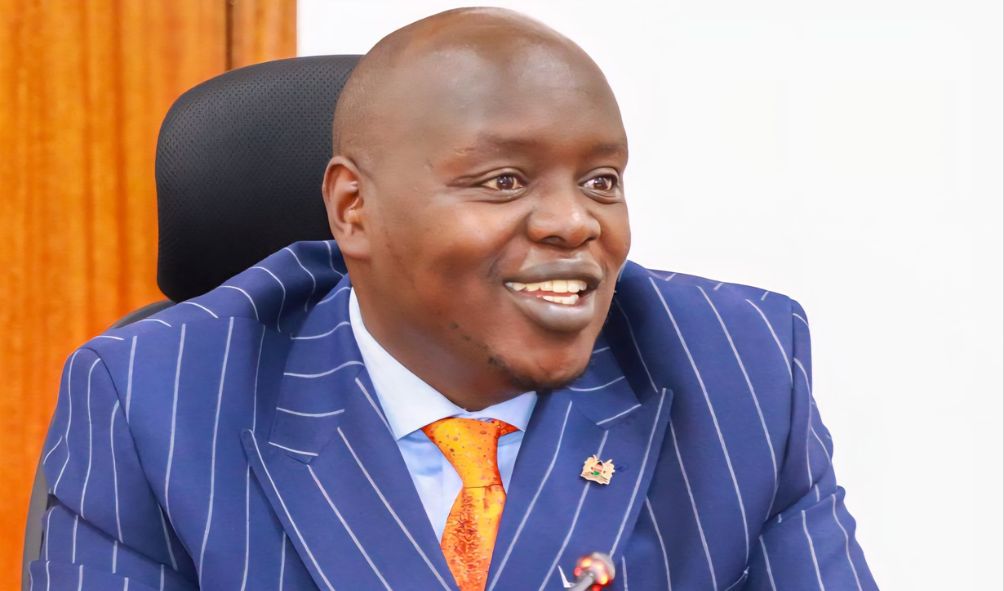 Kenyan Senator Tells Ruto to Ban Tanzanian Businesses, Street Beggars