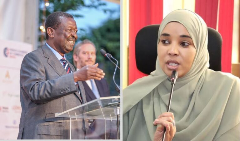 Mudavadi Blasts Wajir Woman Rep For 'We Will Steal Votes For Ruto' Remark