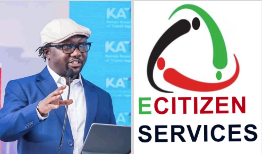 REVEALED: How eCitizen Ownership Underwent Dubious 'Double' Transfer