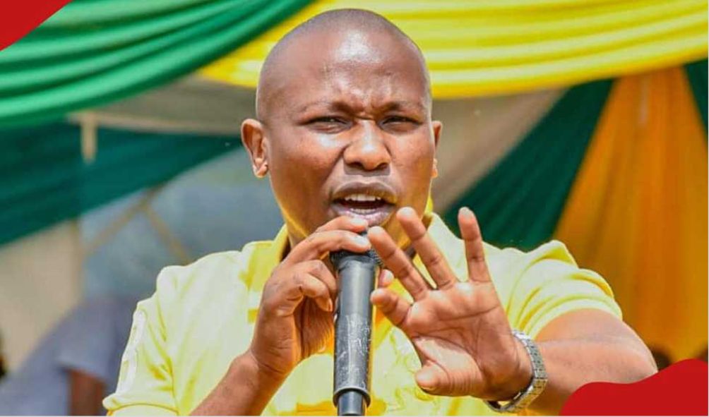 “What standard have you set?” - MP Kawanjiku Calls Out Gachagua After ‘Weak’ Comment