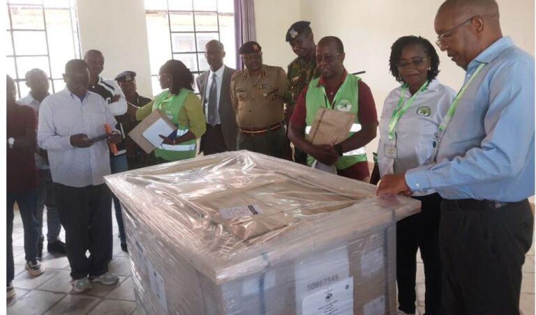 "15,000 Pre-Marked Ballot Papers Already In Mbeere North!" - Kalonzo Claims