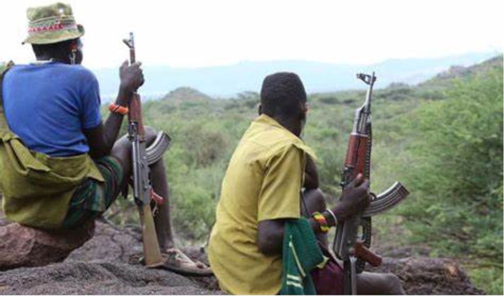 Bandits Raid Meru Villages Killing 7 People, Stealing Livestock