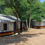 Police Intercept Toyota Noah Car Transporting Stolen Cows in Kisumu