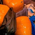 Police Busts Illicit Brews, Narcotics in Kibra As Crackdown Intensifies