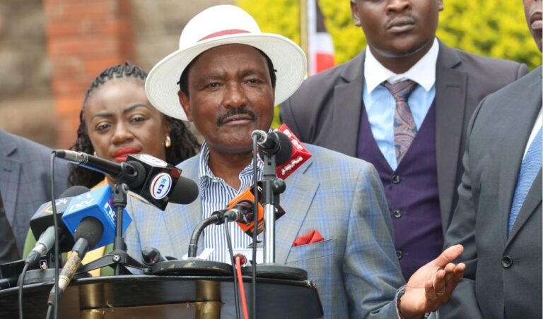 "Shun Tribal Politics!" - Ex-Senator Tells Kalonzo Ahead Of 2027